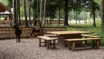 Miško trobelė - Image 2