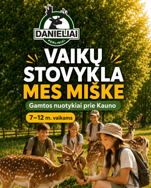 Stovykla 2