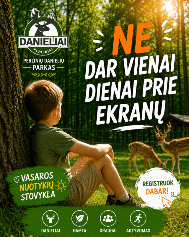 Stovykla 3